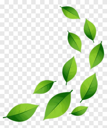 Green Leaves PNG