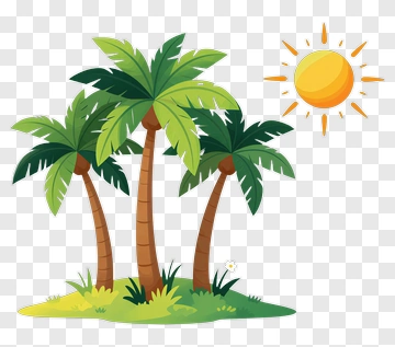 Tropical Palm Trees With Sun PNG