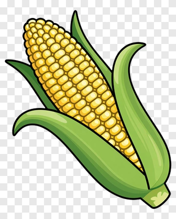 Cartoon Corn On The Cob PNG