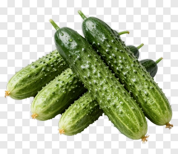 Fresh Cucumbers Piled Together PNG