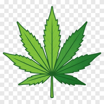 Green Cannabis Leaf PNG