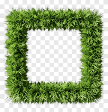 Green Grass Frame PNG