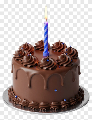 Chocolate Birthday Cake With Candle PNG