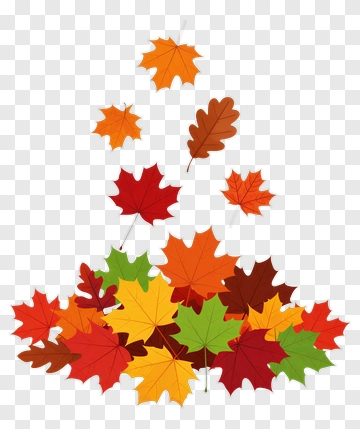 Colorful Autumn Leaves PNG
