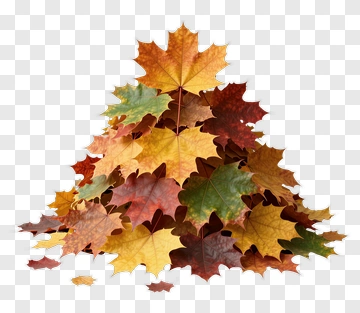Piled Autumn Leaves PNG