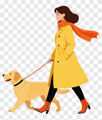 Woman Walking A Golden Retriever PNG