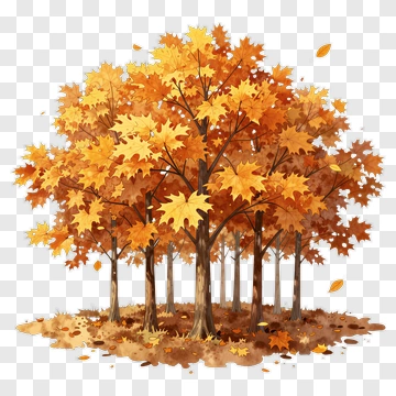 Colorful Autumn Trees PNG
