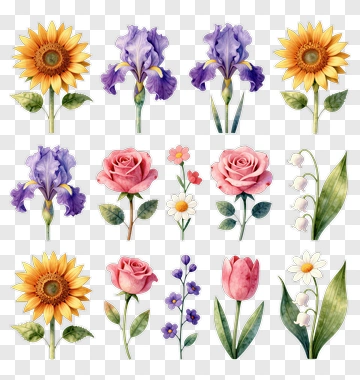 Collection Of Sunflower, Iris, Rose, Tulip, And Lily Of The Valley Flowers PNG