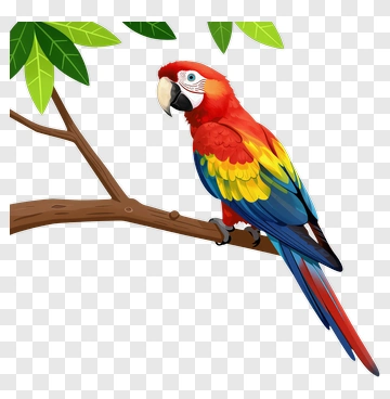 Colorful Parrot Sitting On A Branch PNG