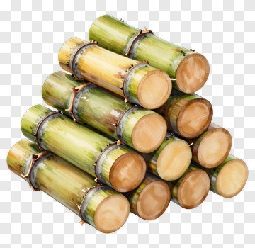 Stack Of Bamboo Logs PNG