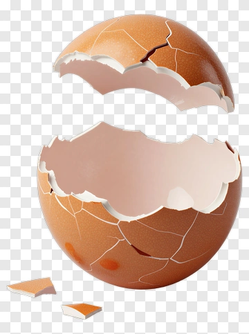 Cracked Egg Shell PNG