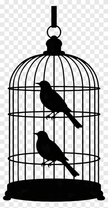 Birdcage With Two Birds PNG