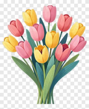 Colorful Tulip Bouquet PNG