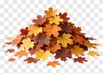 Piled Autumn Leaves PNG