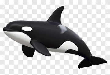 3D Orca Whale PNG