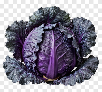 Purple Cabbage With Leaves PNG
