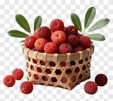 Basket Of Lychee Fruits PNG