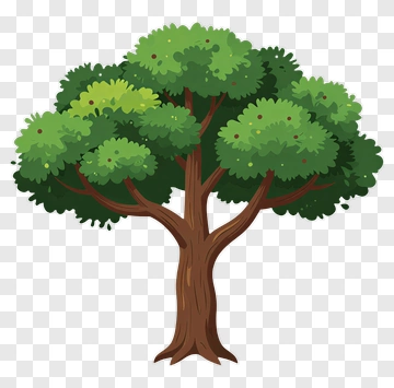 Colorful Tree PNG