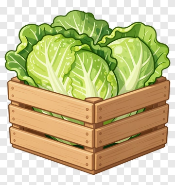 Wooden Crate Filled With Cabbage PNG