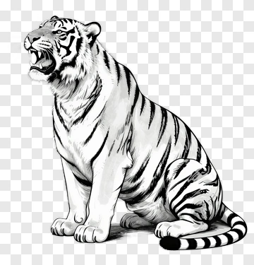 White Tiger Sitting PNG
