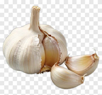 Garlic Bulb With Cloves PNG