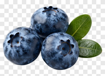 Fresh Blueberries With Green Leaves PNG