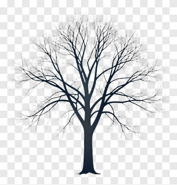 Silhouette Tree Without Leaves PNG