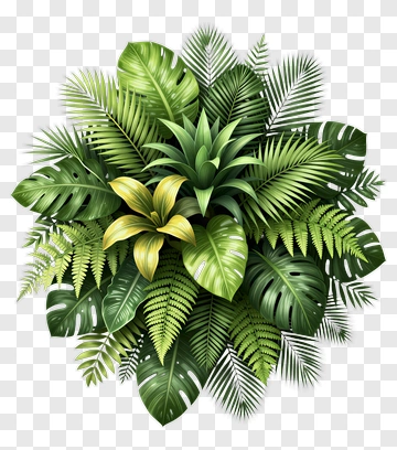 Tropical Leaf Arrangement PNG