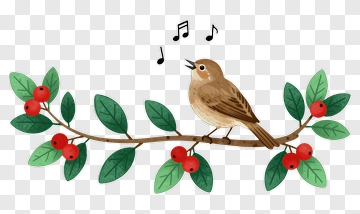 Bird Singing On A Branch With Berries PNG