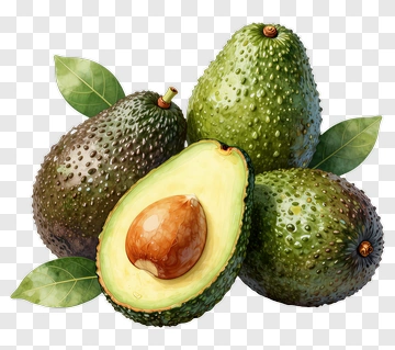 Avocado With Leaves PNG
