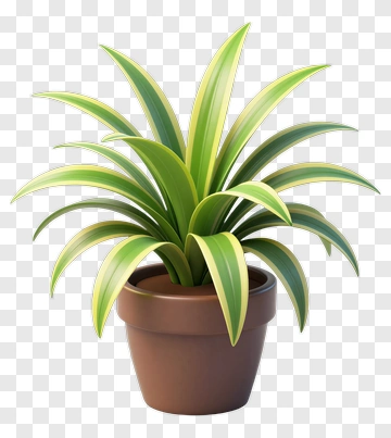 Colorful Potted Plant PNG