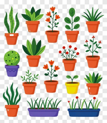 Colorful Potted Plants Collection PNG