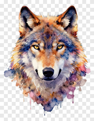 Watercolor Wolf Portrait PNG