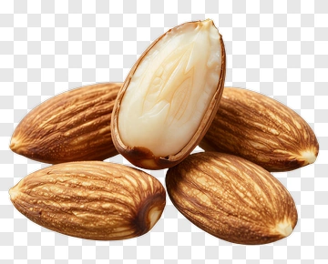 Almonds In A Natural Setting PNG