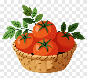 Basket Of Fresh Tomatoes PNG