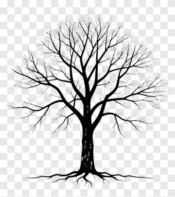 Black Tree With Bare Branches PNG