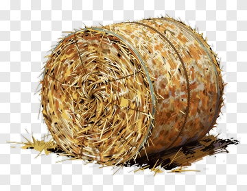 Hay Bale PNG