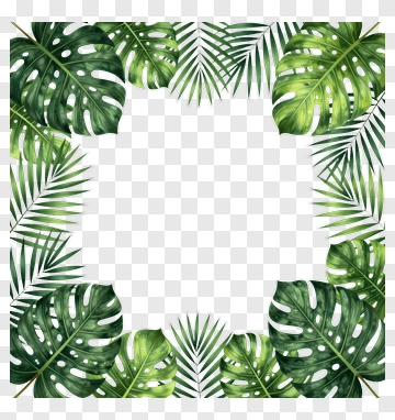 Tropical Leaf Frame PNG