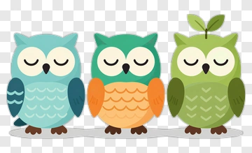 Colorful Cartoon Owls PNG