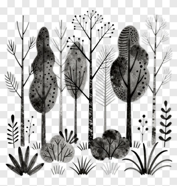 Black And White Forest Illustration PNG