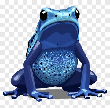 Blue Poison Dart Frog PNG