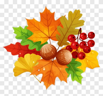 Colorful Autumn Leaves And Berries PNG