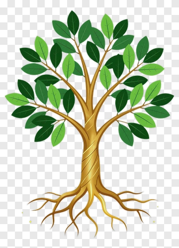 Colorful Tree With Green Leaves PNG