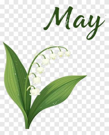 Lily Of The Valley With May Text PNG