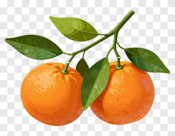 Fresh Oranges With Leaves PNG