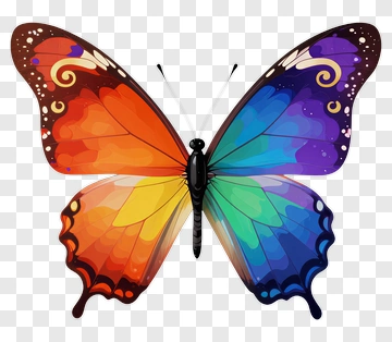 Colorful Butterfly PNG