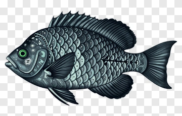 Decorative Fish Illustration PNG