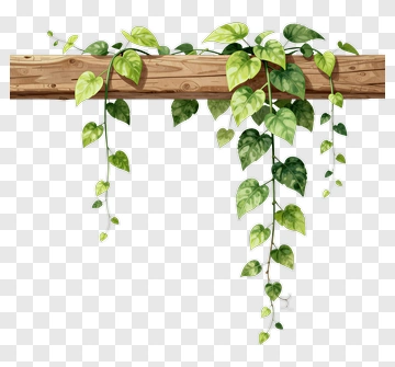 Vine Plant Hanging From Wooden Beam PNG