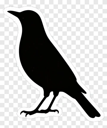 Black Bird Silhouette PNG