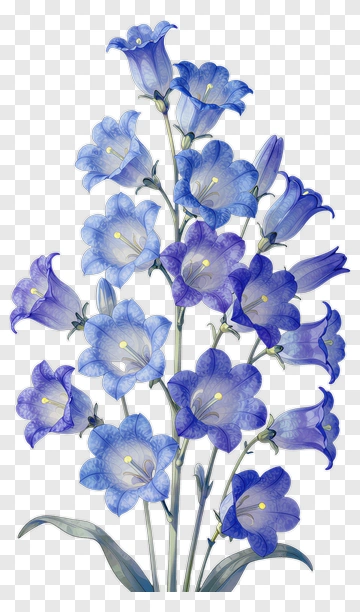 Colorful Bluebell Flower Bouquet PNG